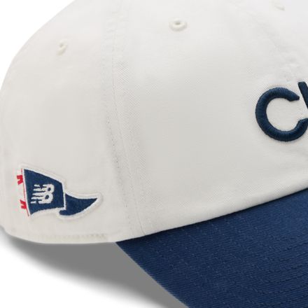 47 Chicago Clean Up