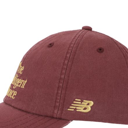 6 Panel The Intelligent Choice Hat