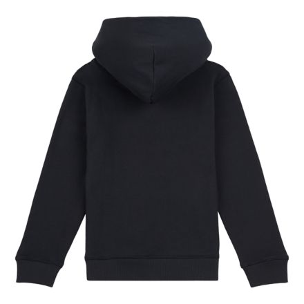 Chandail à capuche en molleton avec petit logo