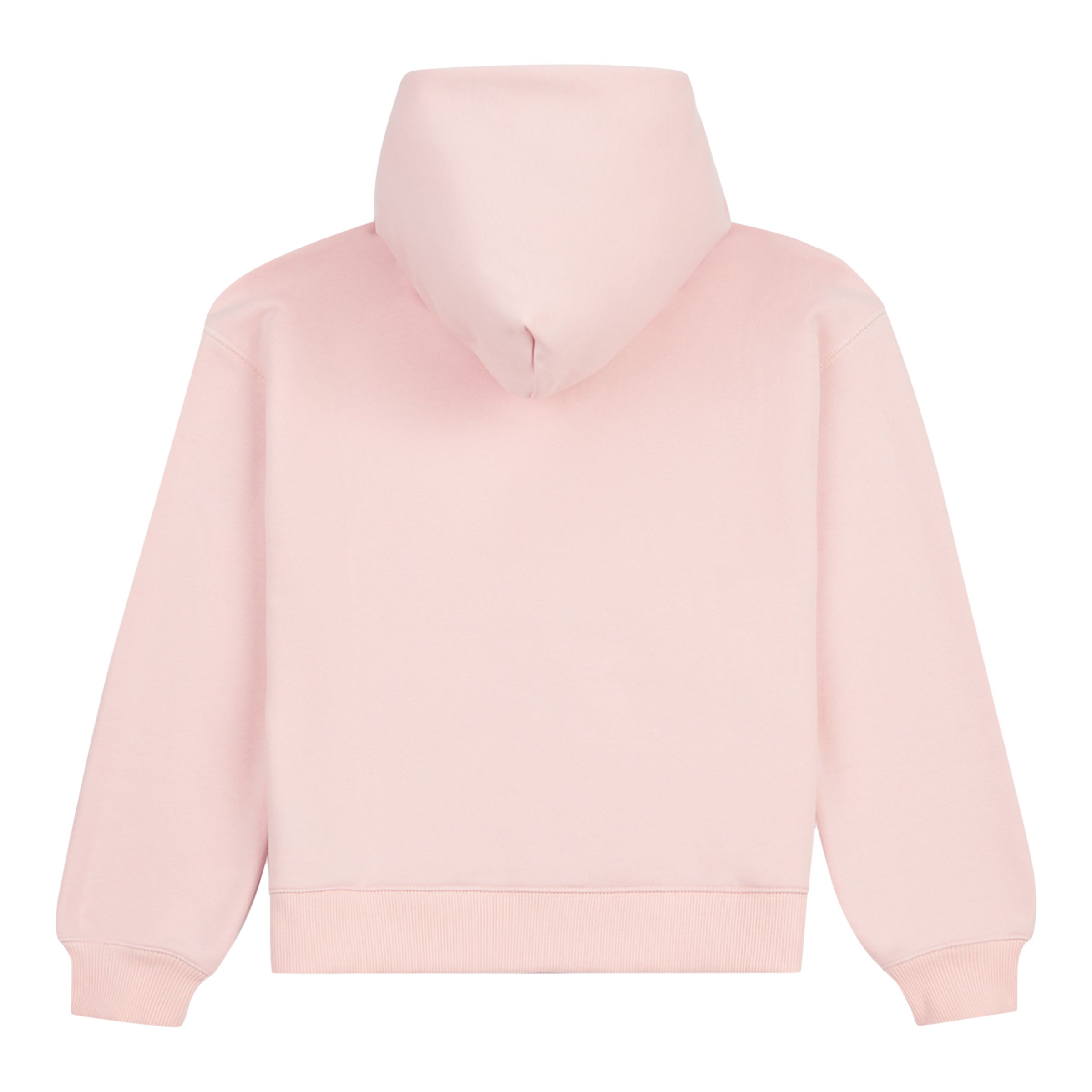 FT Small Logo Zip Hoodie