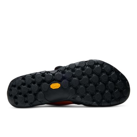 TDS MT2