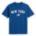 Seleccionar Color TEAM ROYAL