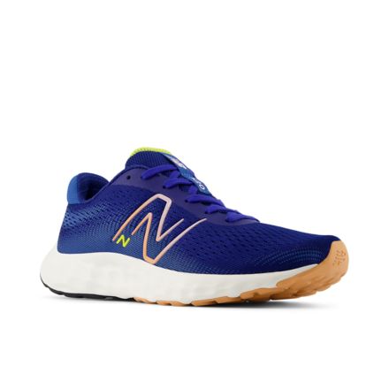 New Balance Women s 520v8 Running Shoes