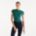 Select Color NORDIC GREEN