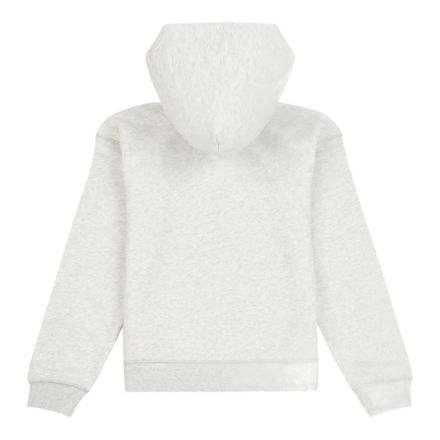 FT Small Logo Zip Hoodie, Ash Heather with Grey, YT61D1Y3AHH