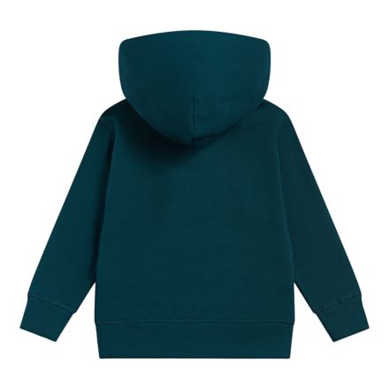 French Terry Small Logo Hoodie, VERDE MEDUSA, YT61T03AAAV