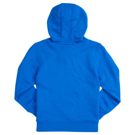 Sweats &agrave; capuche Youth Essentials Stacked Po